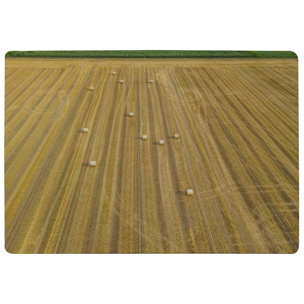 Vue aérienne de balles de paille : une œuvre d'art photographique en 80x150 cm