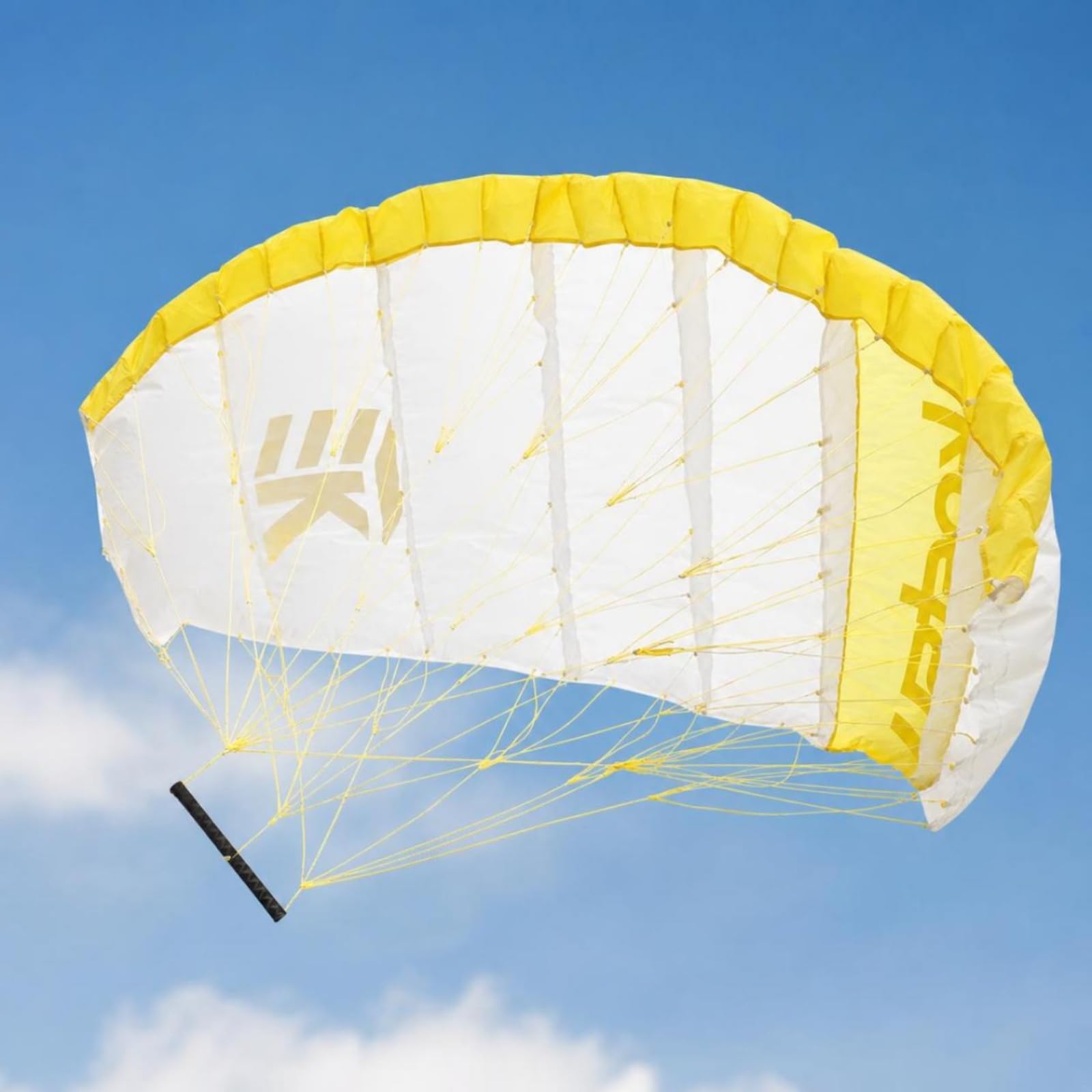 Baoblaze Aquilone da Mano Aquilone da Surf Vela quilone a Mano con Struttura Robusta in Nylon E Linee in per Uso Adatto per Pratica su Spiaggia Ventosa Navigazione Costiera Sport Outdoor