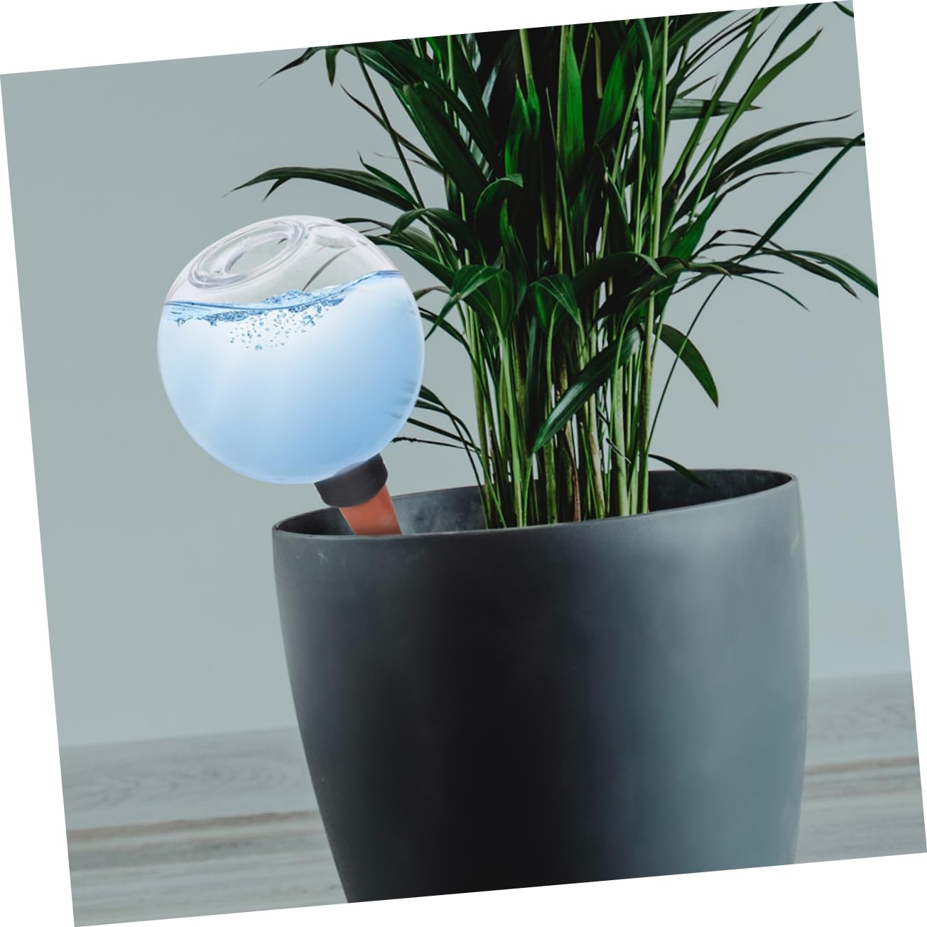 UPKOCH 4 Ensembles Dispositif D'arrosage Automatique Plantes Soi Plante D'arrosage Globes D'arrosage Appareil Usine Mis en Pot Irrigation Dispositifs Auto-arrosage Pcv 2 Pièces * 4