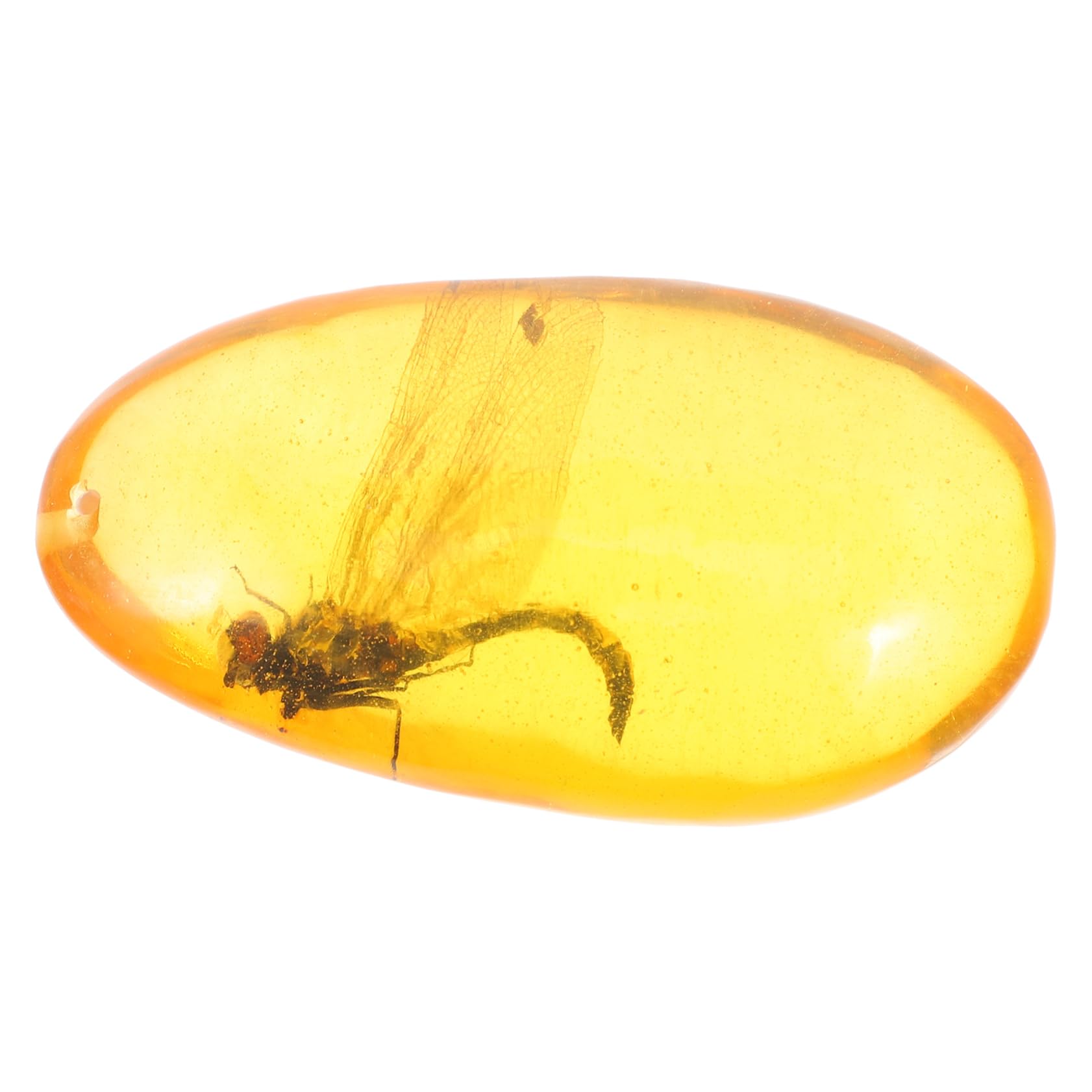 Mobestech 4pezzi Campione Di Insetto Resina Per Decorazione Domestica Dragonfly Esclusivo Specimen Di Insetto Ornamento Artigianale Per Collezionisti e Amanti Della Natura Circa