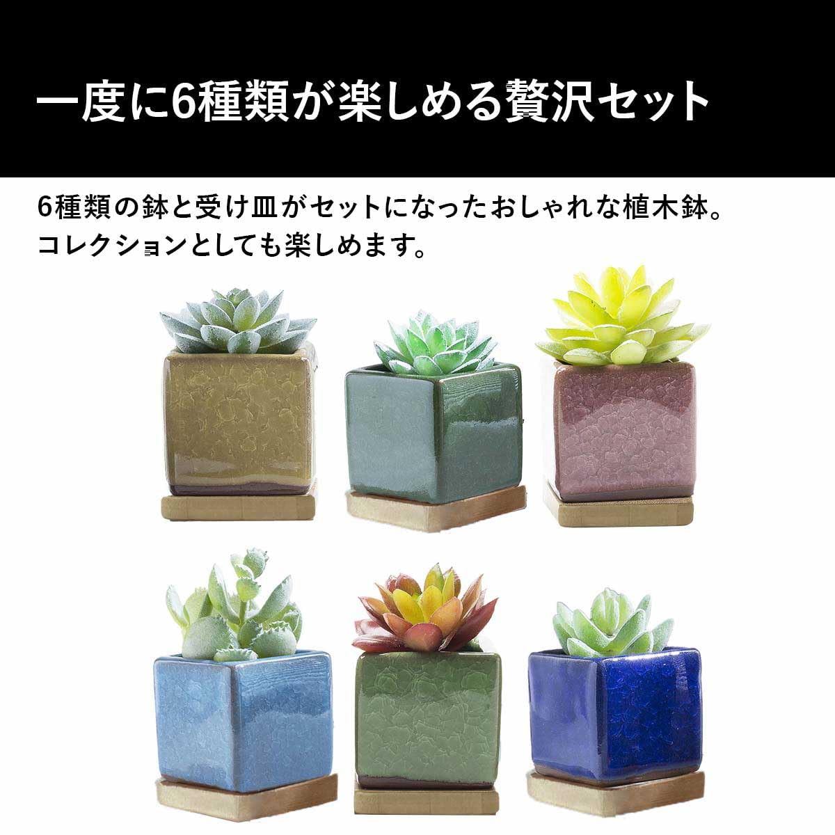 Amazon.co.jp: iikuru 植木鉢 おしゃれ 多肉植物 プランター セット