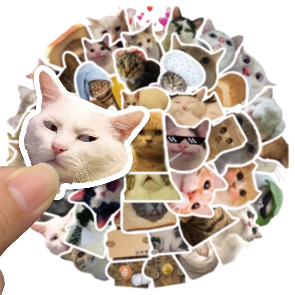 108+PCS Funny Cat Stickers – Waterproof Cute Meme Cat Vinyl Decals for Laptop, Wall, Phone, Car, Journal & More | Aestheti... - Review, Price and Buying Guide