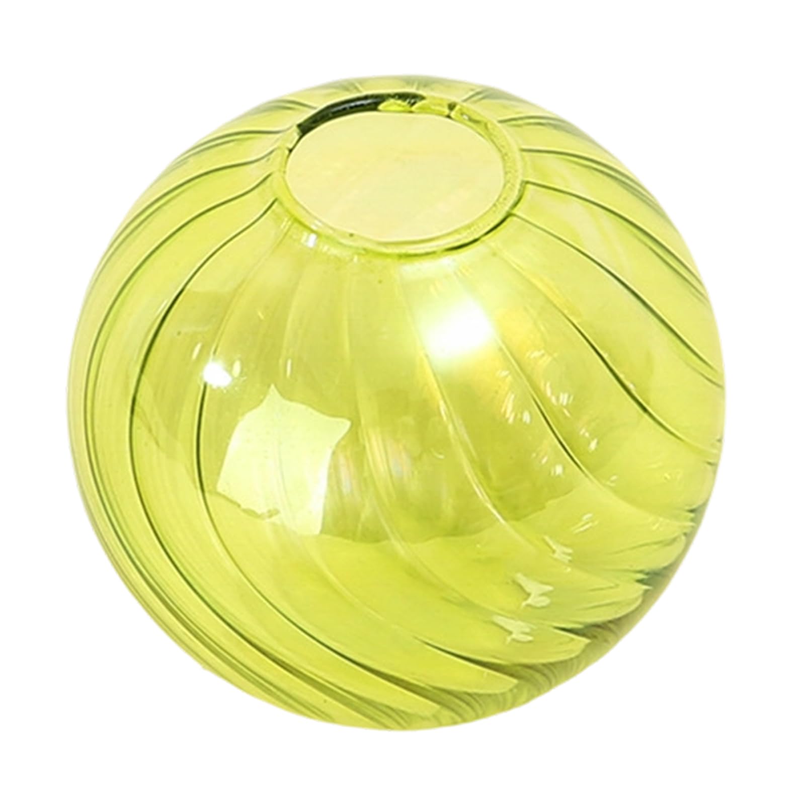 Multipurpose Clear Glass Ball Vases Small Hydroponic Pots Planter for Unique Terrariums Jar and Propagation Stations Display Small Vases