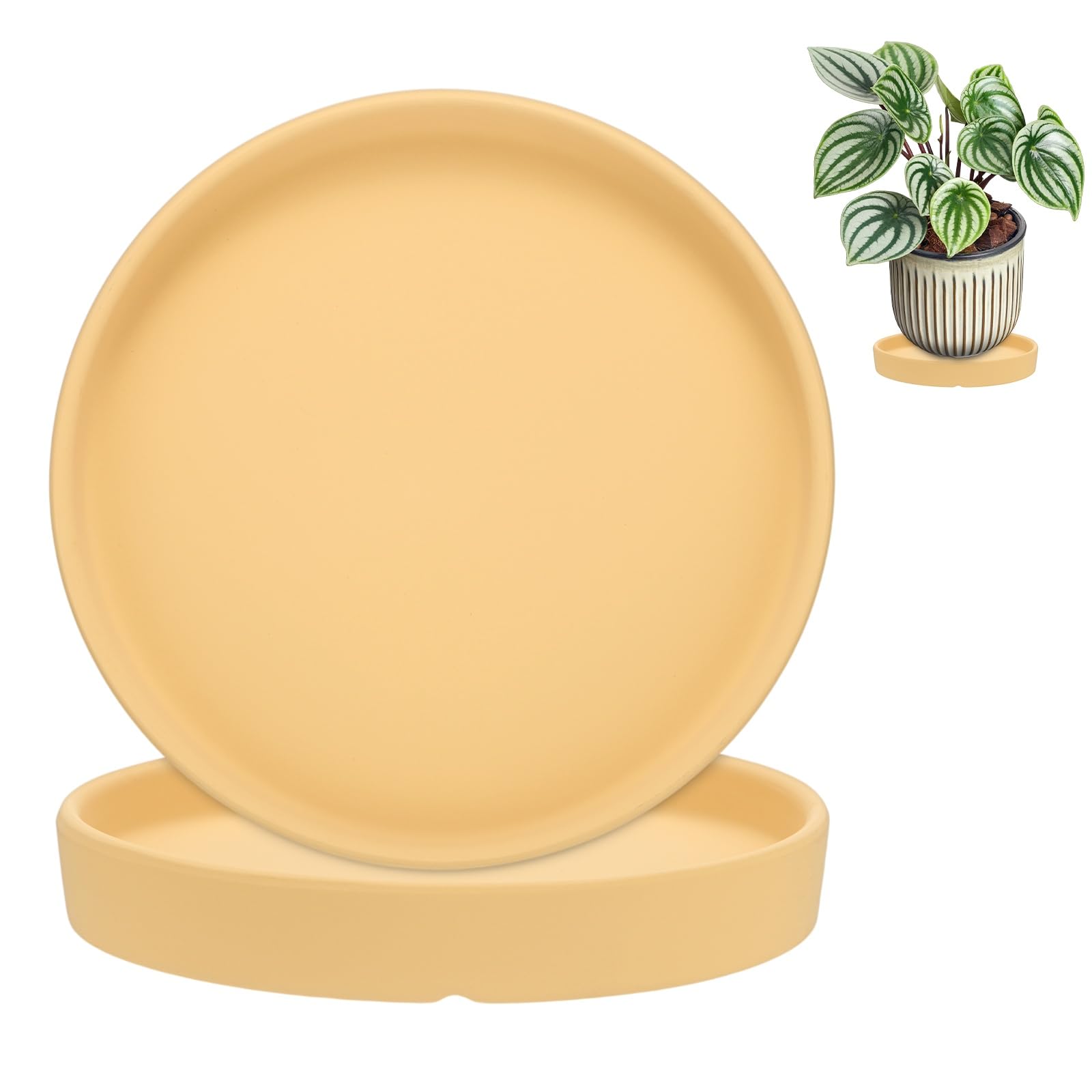 M METERXITY 2-Pack Plant Saucers 6.3in ID Ceramic Anti-Rot Yellow