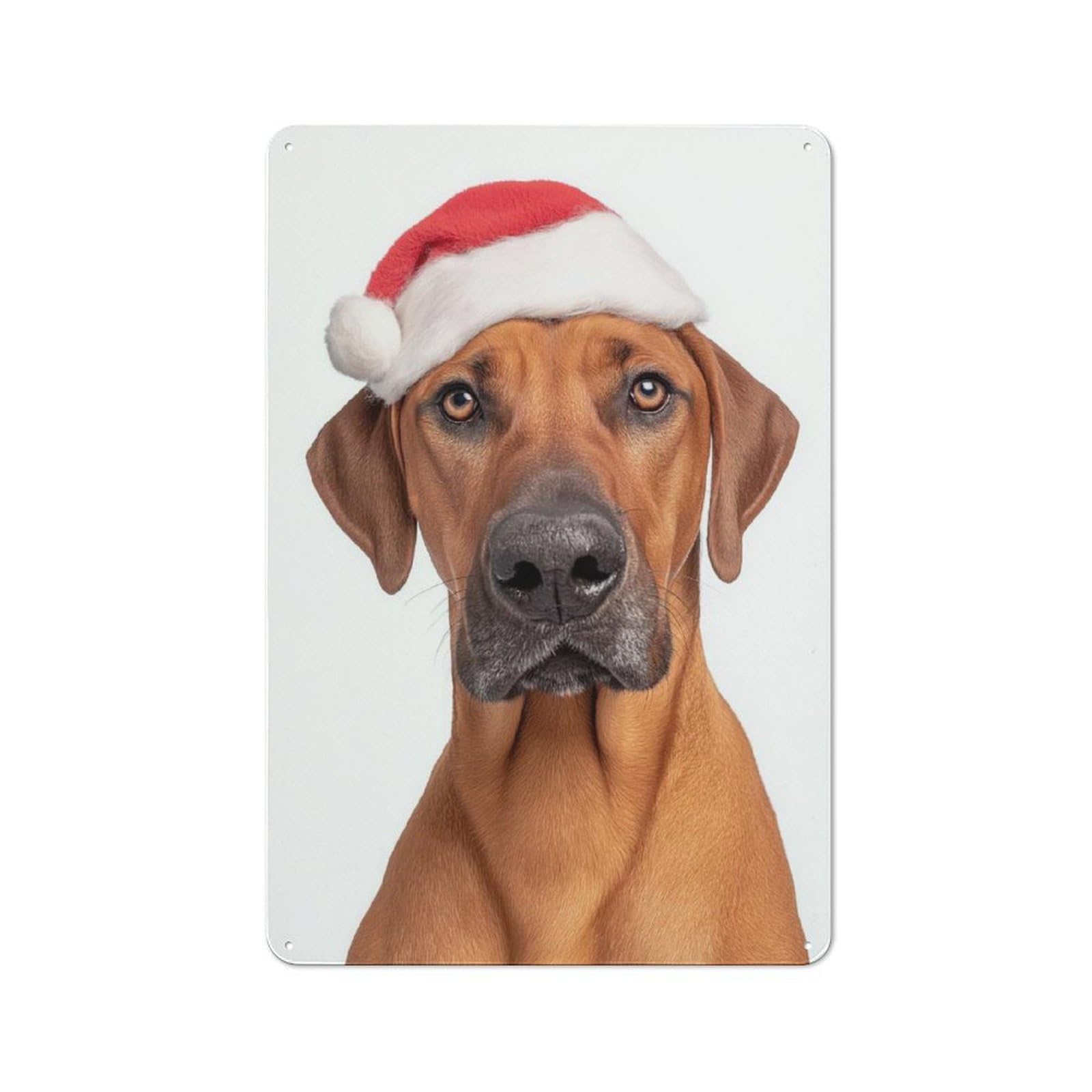 Junmoney Rhodesian Ridgeback Dog With Santa Hat Portra For Dining Room Or Kitchen, It Vintage Metal Sign 30X20cm, Gift For Dining Room Decor Fans During The Christmas Season