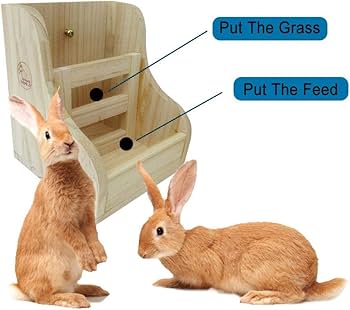 Amazon | ウサギ用食器 アオハウオ(AWHAO) 多機能 牧草フィーダー