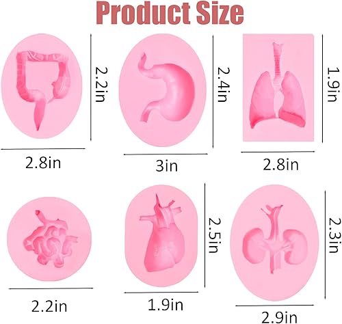 Miniatura 3 de Moldes de silicona para órganos humanos, 6 unidades, moldes de silicona con forma de órganos humanos, molde para pastel de corazón, cerebro, tronco,