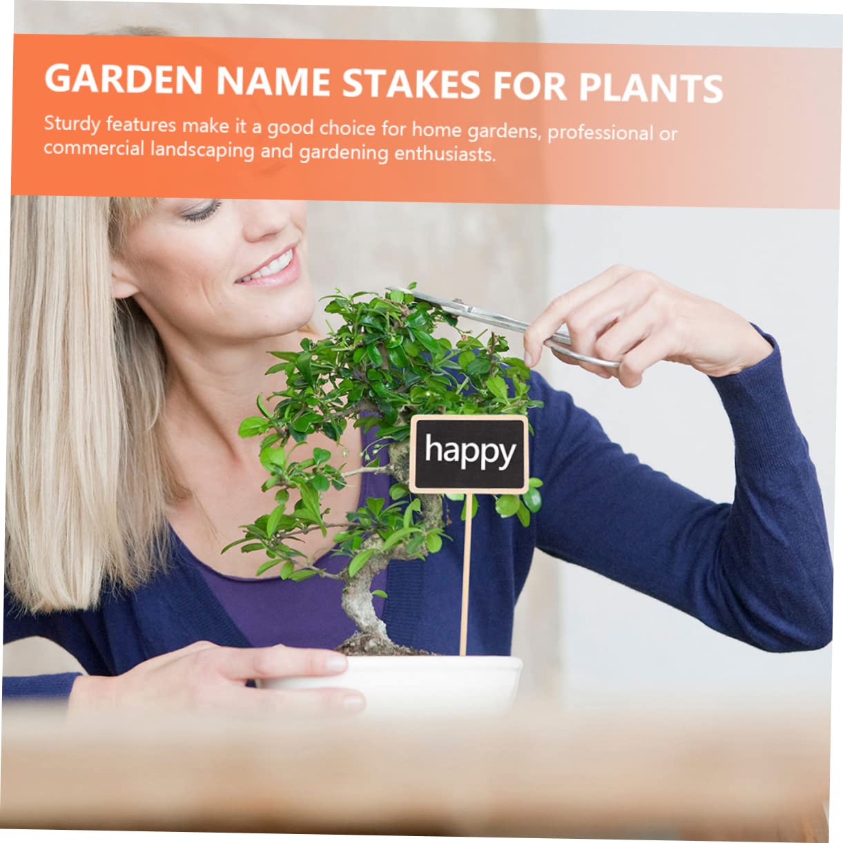 BESPORTBLE 3 Set Di Etichette Per Piante Grasse Da Giardino Picchetti in Legno Per Piante Facili Da Scrivere Identificazione Per Giardinieri 20 Pezzi*3