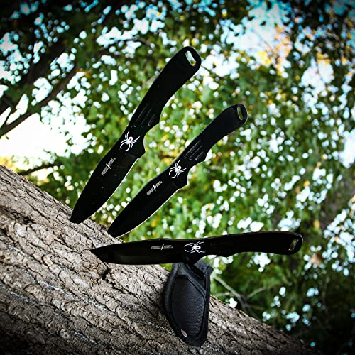 Perfect Point Throwing Knives – Set Of 3 – Black Stainless Steel Blades And Handles W/ Spider Design, Nylon Sheath, Full Tang Construction, Well Balanced, Throwing Sport Knives – Rc-1793B #TOP1