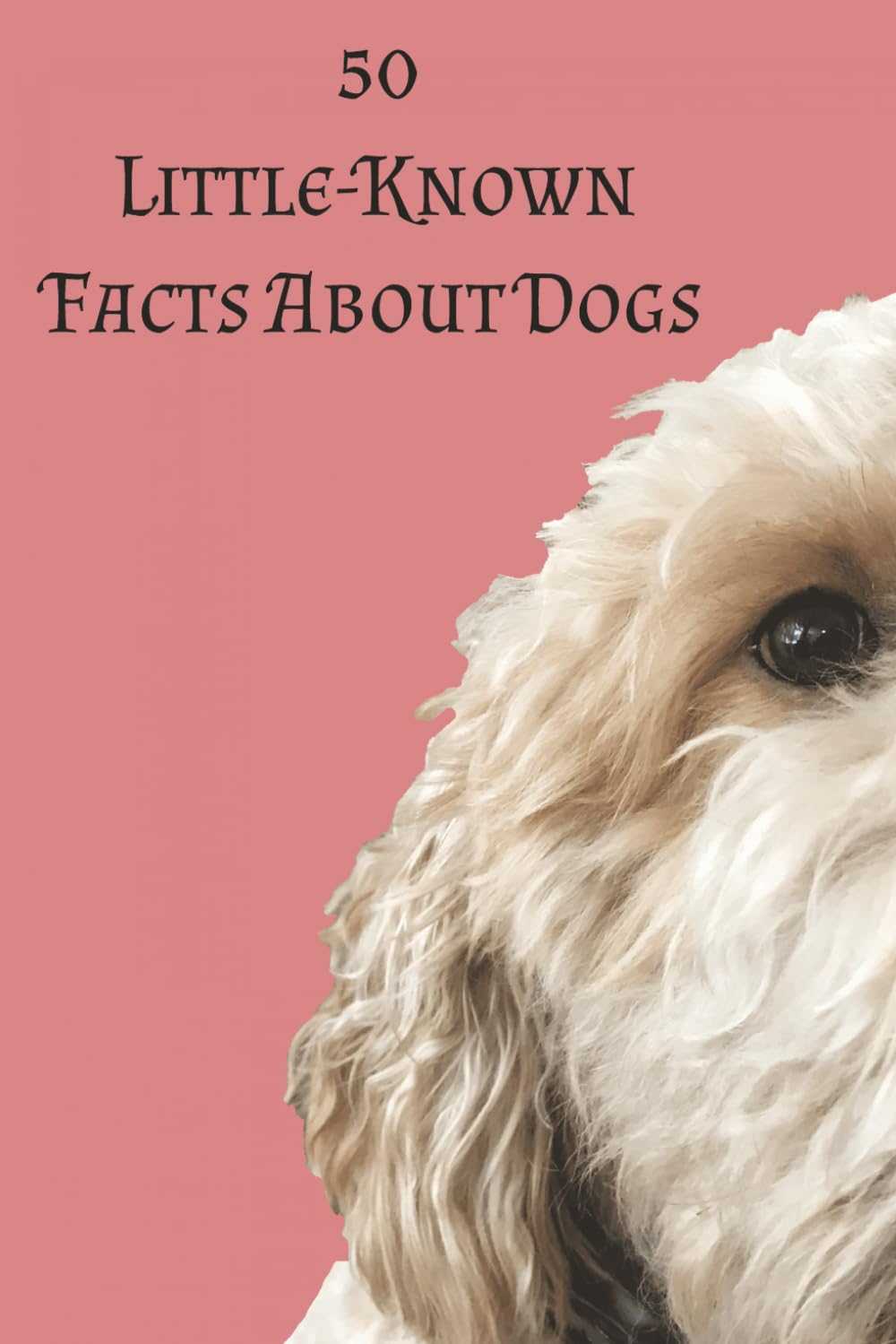 50 Little-Known Facts About Dogs: Surprising, Fascinating, and True Things Every Dog Lover Should Know