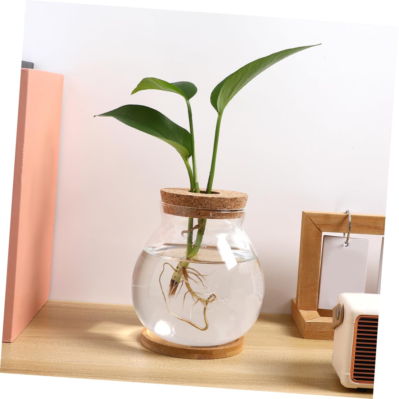 Sosoport 2sätze Glasterrariumbehälter Für Hydrokulturpflanzen Pflanzwasserstation Mit Blumenarrangementhalter Für Desktop-anzuchtstation Glasblumenvase Als Blumenpflanzer