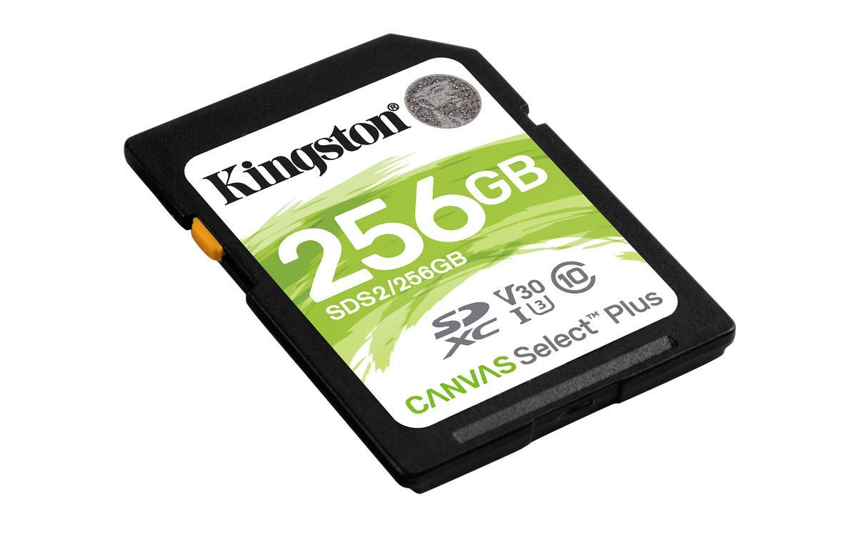 Amazon.com: Kingston 256 GB SDXC Class 10 Flash Memory Card SDS2
