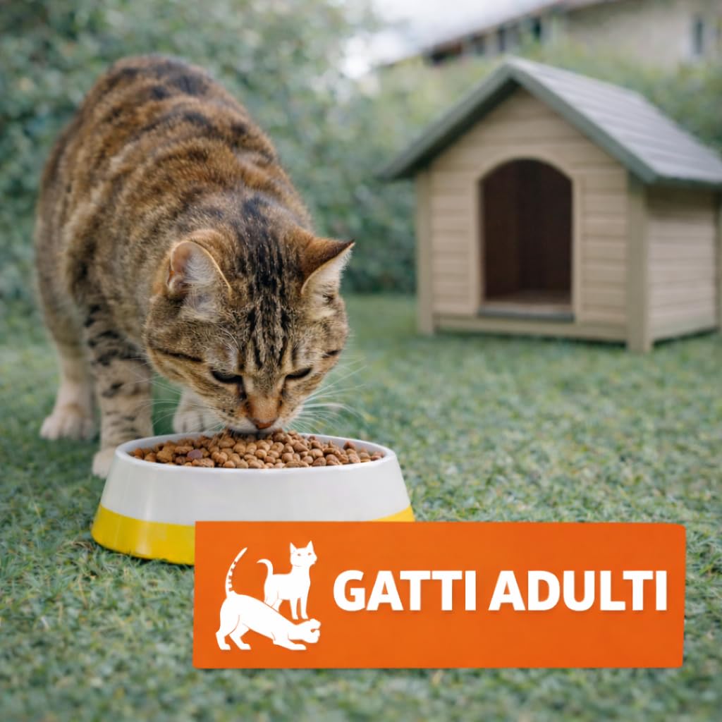 Mangolè Tasty Cat Adult Manzo Pollo 20 kg Croccantini per Gatti Adulti Alimento Completo con Taurina e Proteine Animali 27% Made in Italy