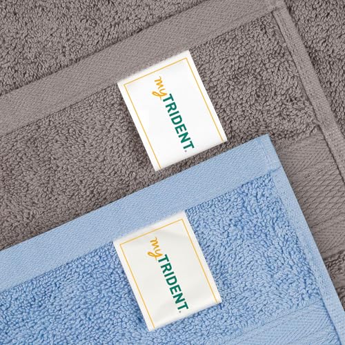 Image of MYTRIDENT Soft Comfort Air Rich Towel 100% Cotton Hand Towel for Daily use, 500 GSM Highly Absorbent Towels for Men /Women, 4Pc Hand Towel Set (41 cm X 66 cm), Charcoal and Allure
