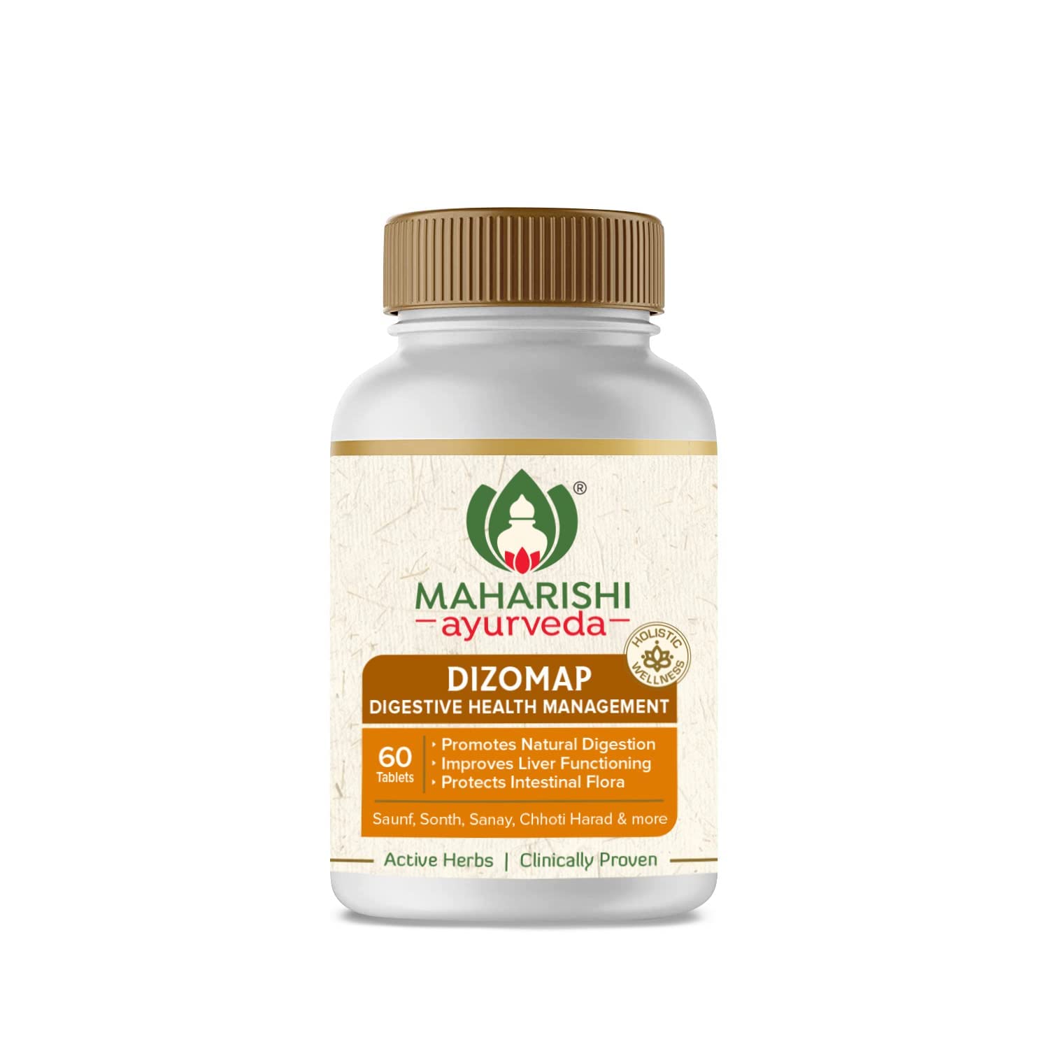 WellAura MAHARISHI ayurveda Dizomap Tablets - 100 Tablets, Pack of 2-(MA004-B) (B09DW6CV53) Amazon Price History, Amazon Price Tracker