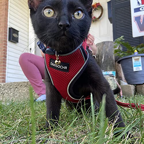 Ipravoci Cat Harness - Escape Proof Reflective Cat Harness And Leash For Small To Large Cats, Puppy, Small Dog - Adjustable Mesh Breathable Pink Cute Cat Harness For Walking Training Hiking #TOP5