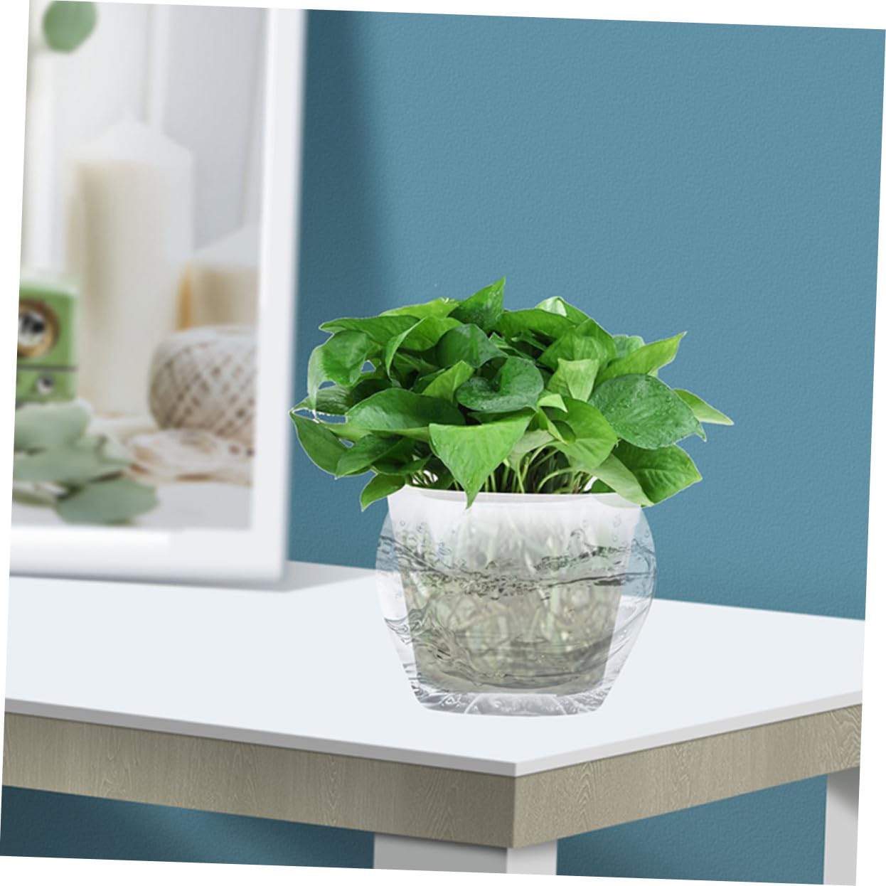 TOYANDONA Pots de Rempotage Transparents pour Orchidées Lot de 2 Plastique Robuste Diamètre 27 Cm