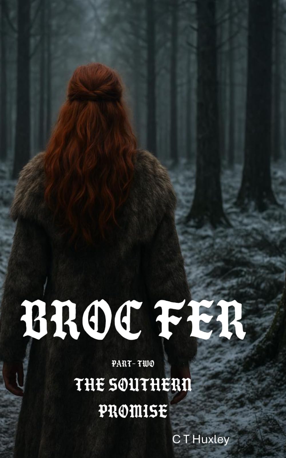 Broc Fer: Part two - The Southern Promise