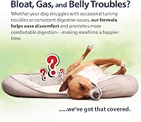 Vista 3 de PHS Syner-G - Suplemento de enzimas digestivas para perros y gatos - Enzimas alfa-amilasa, lipasa, celulasa y proteasa - Apoyo a la digestión