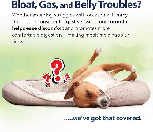 Miniatura 3 de PHS Syner-G Suplemento de enzimas digestivas para perros y gatos - Enzimas alfa-amilasa, liposa, celulasa y proteasa - Apoyo a la digestión,