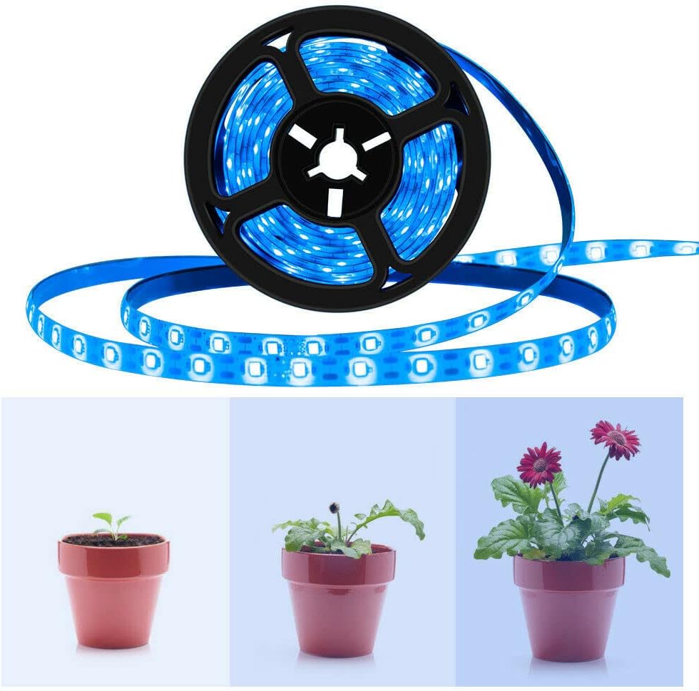 Morelight DC12V 5M Plant Grow LED Strip Light Dimmable Waterproof Grow Strips 5050 Plant Growing LED Strip Red Blue 5:1 60LED/m Replcement led - Image 5