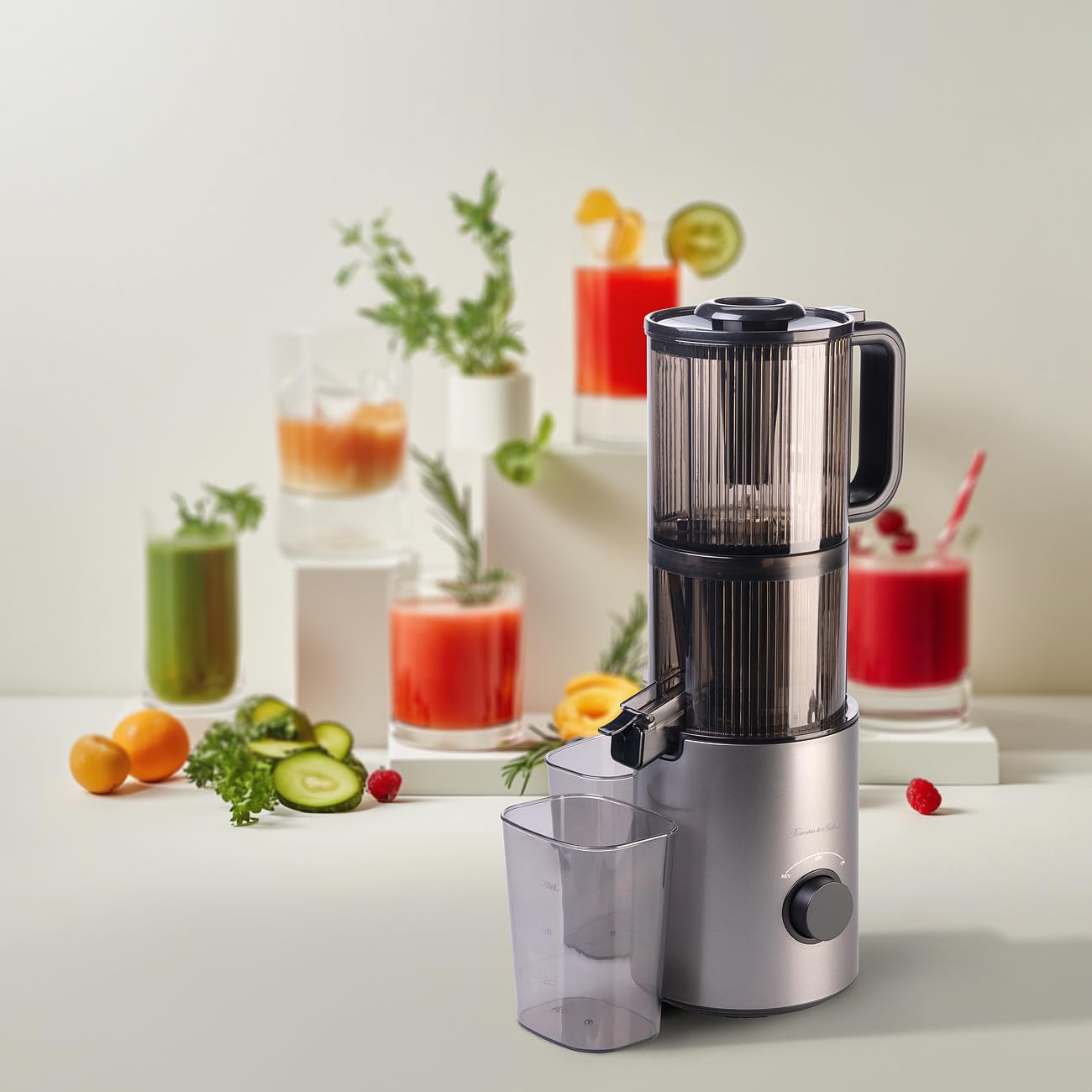 Rosenstein & Söhne Extractor de zumo lento eléctrico 200 W 800 ml con marcha atrás