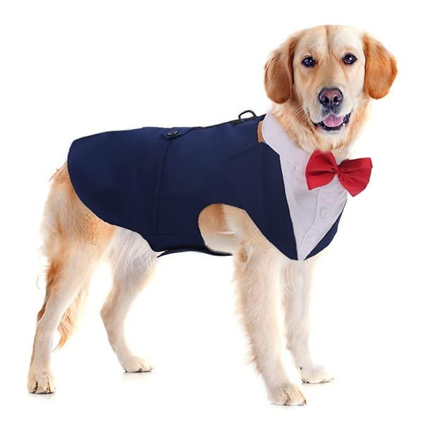 Pet Dog Tuxedo Suit Formal Wedding Shirt,Dog Costume with Bow Tie for Small Medium Large Breeds,Prince Suit with Detachable Bowtie Collar Bandana,Party Dress-up Cosplay Holiday Wear for Boy Dogs