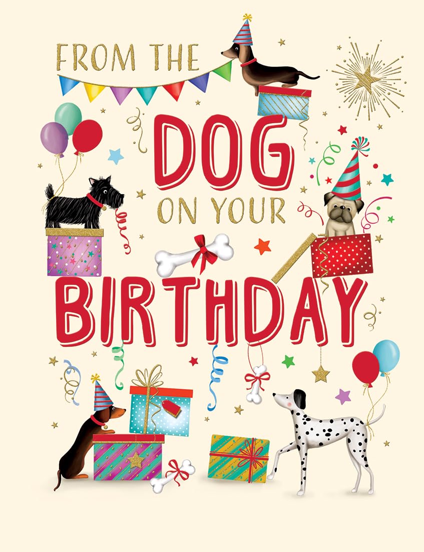 Piccadilly Greetings Birthday Card, From the Dog on Your Birthday - 8 x 6 inches