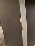 Review Image by Amazon Customer