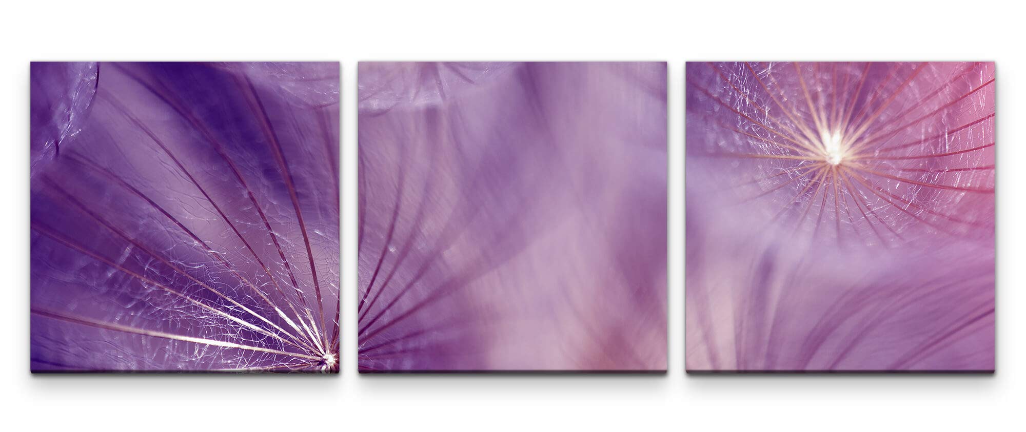 Blumensamen 220 x 70cm - 3 Bilder je 70x70cm Bild XXL Panorama Deko Wandbilder auf Leinwand