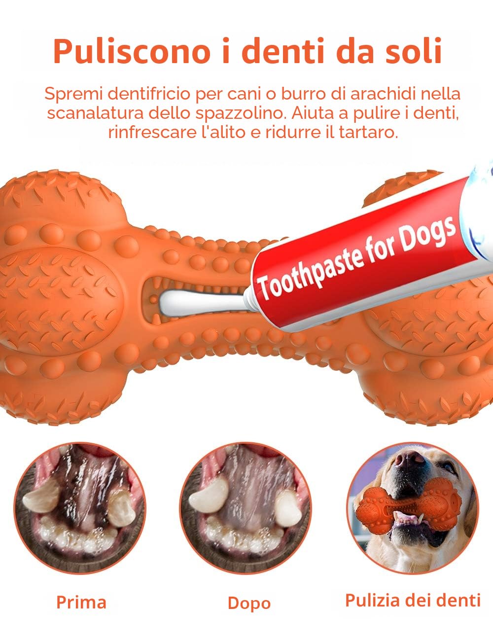 SCHITEC Giocattoli per Cani con Squeaker & Gioco Interattivo - Indistruttibile Giocattolo da Masticare per Masticatori Aggressivi, con Osso in Gomma per Pulire i Denti per Cani Medi e Grandi