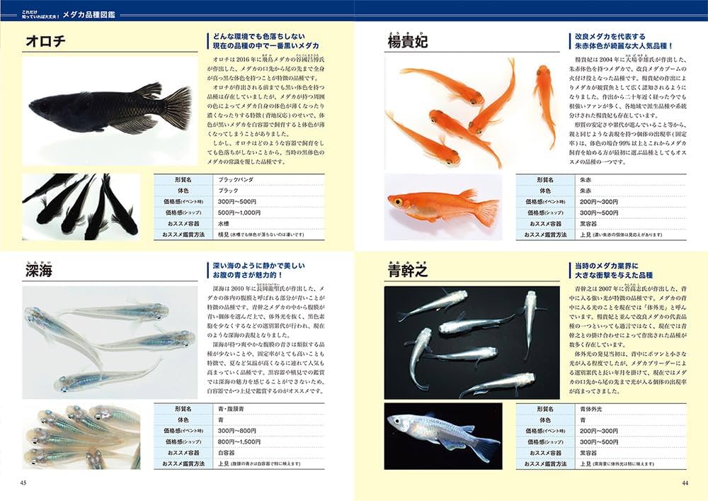 10/10まで出品【美品】ぬくぬくにぎりめし　画集　メタフィクション　稲葉曇 3LFTN apartment | GRAPE BRAIN 九尾ノ狐モドキ＜こんそめ＞ と