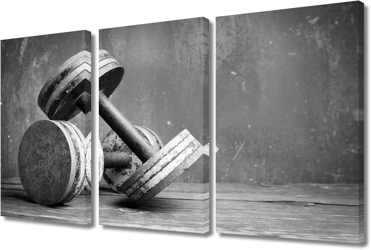 TUMOVO Fitness Equipment Home Decor Art Prints Old Dumbbells Bathroom Decor Wall Art 3 Panel Black Background Weightlifting Home Decor Print on Canvas Stretched and Framed Ready to Hang (36" Wx24 H)