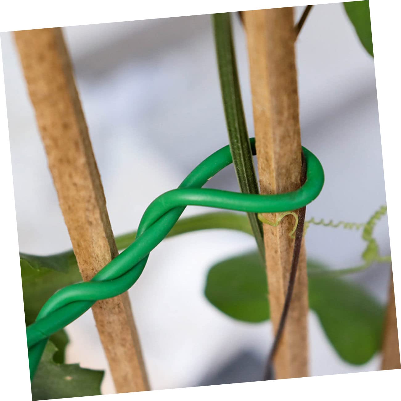 Pflanzendraht 4 Bündel 3 M Bindedraht Gartenbedarf Ultraviolett Stark Flexibel Für Die Gartenarbeit