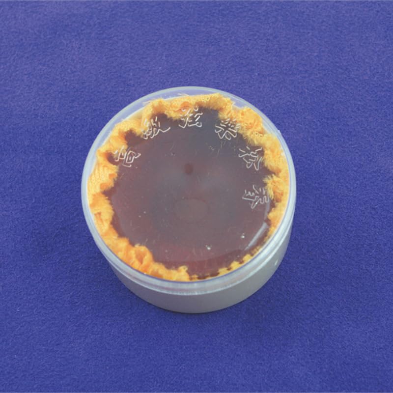 Alice Advanced Sound Penetration Cello Rosin, Violin Rosin, Durable for Violin Musical Instrument Violin A013-2-image-15