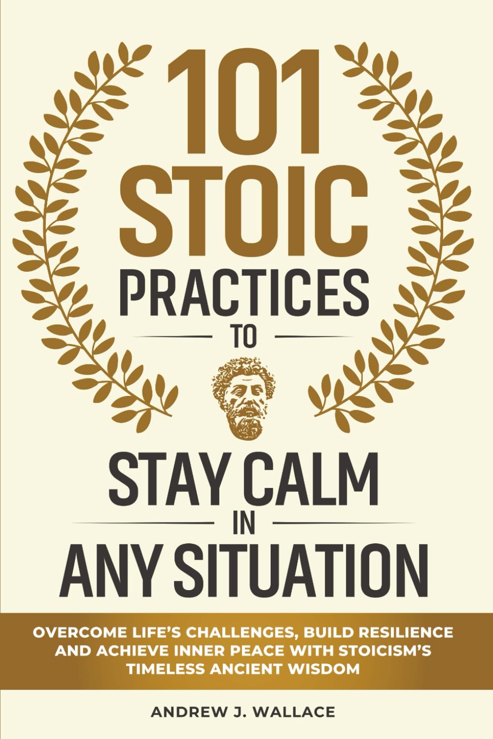 101 Stoic Practices to Stay Calm in Any Situation: Overcome Life’s Challenges, Build Resilience, and Achieve Inner Peace with Stoicism’s Timeless