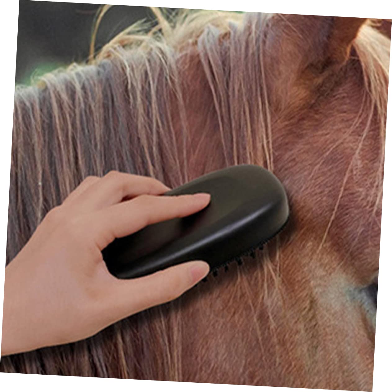 SUPVOX 4 Cepillos De Limpieza Para Caballos Ecuestres Cepillo Para El Pelo De Caballo Cepillo Para La Limpieza De Ganado Cepillo Para El Pelo De Caballo Herramienta Para Quitar El