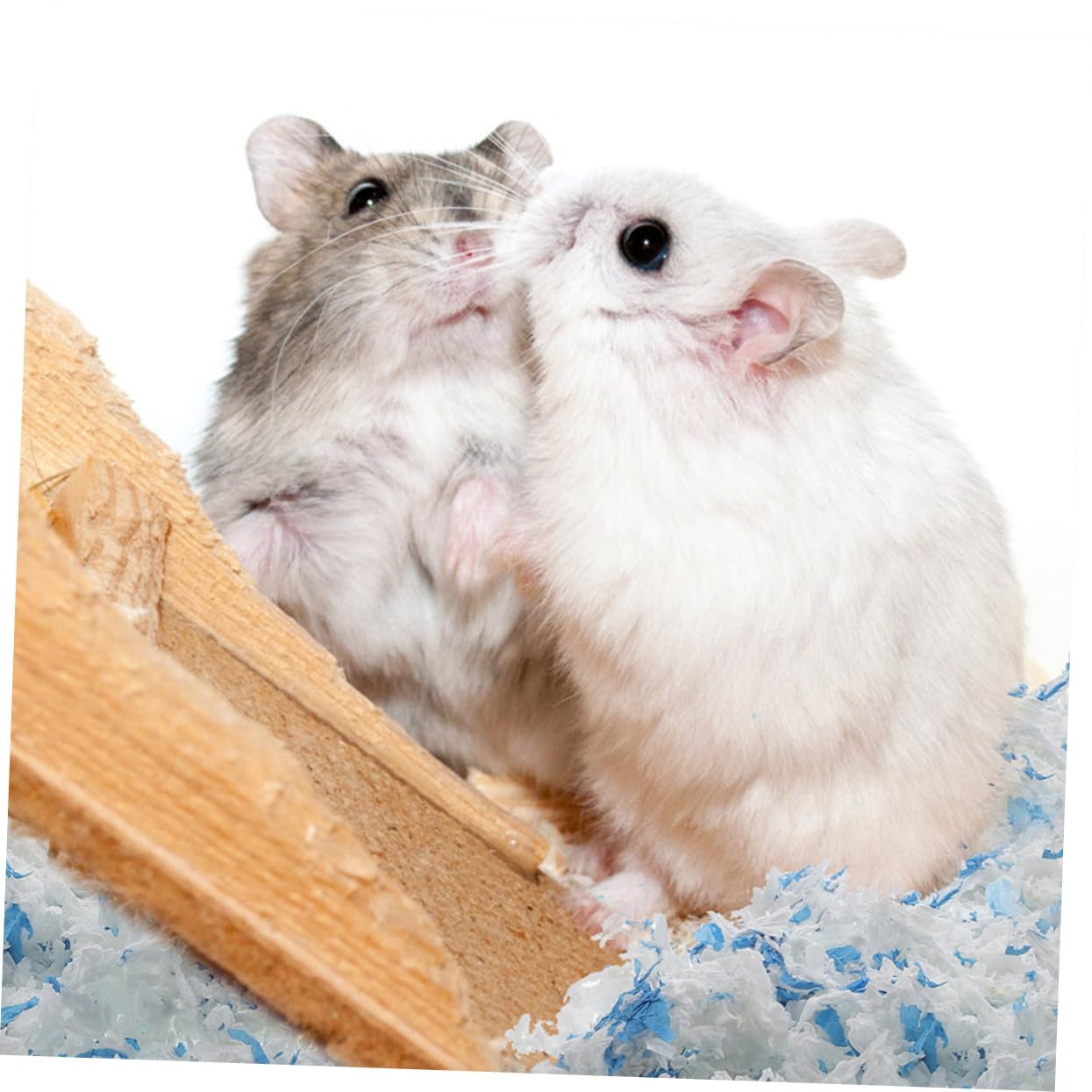 HANABASS 2stücke Beutel Niedrigstaub Papierstreu Für Kleintiere Pro Packung Absorbierende Und Geruchsneutrale Einstreu Für Hamster Meerschweinchen Und Andere Kleine Haustiere