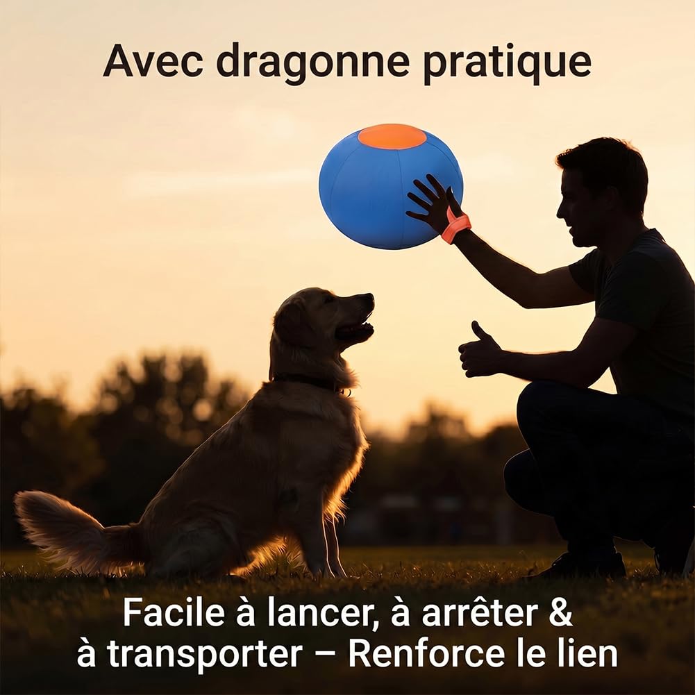 45/55/65 Cm Balle De Troupeau pour Chien | Ballon Géant Gonflable | Ultra Résistant aux Griffes et Mordillements | Poignée de Transport Intégrée | Idéal pour Jeux Interactifs (S:45CM)