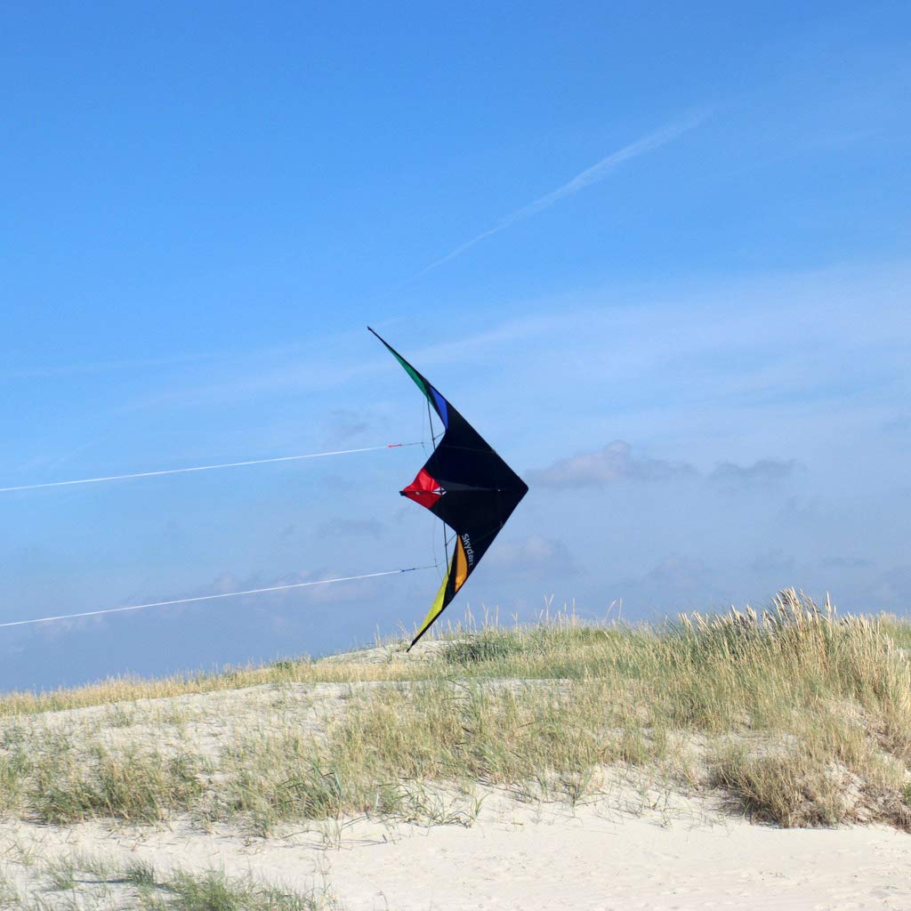 Wolkenstürmer Skydart Cerf-Volant avec Armature en Fibre de Verre Noir – Kit pour débutants et confirmés