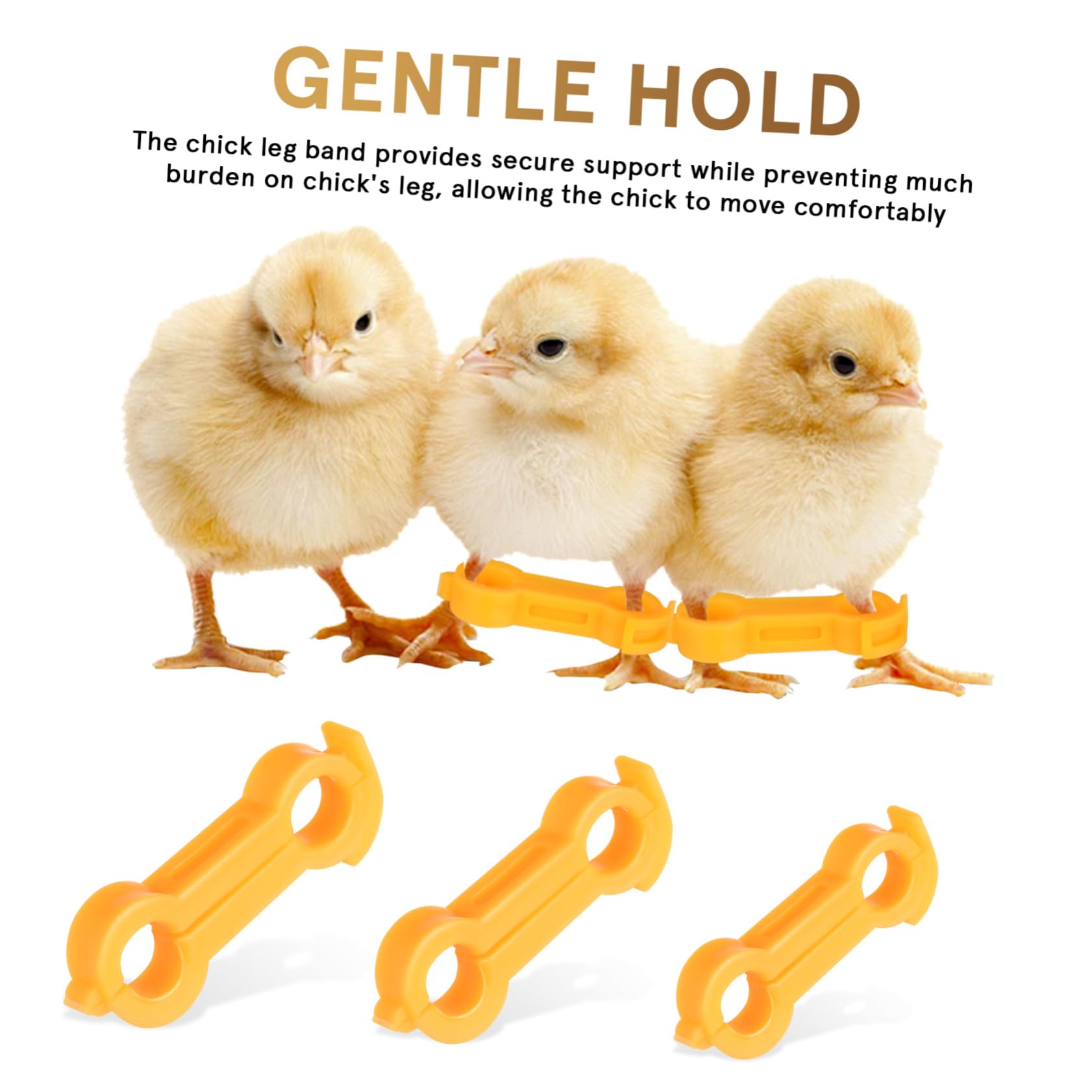 Anillo de Pollo Corrector de Patas para Pollitos, 12 Piezas | Pvc Amarillo, Orificios de 4, 5 y 6mm, Ajuste Seguro y Estable para Aves Pequeñas