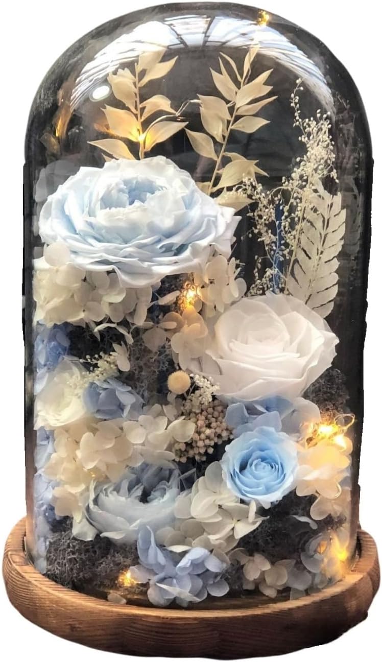 GACKT 淳士 ガクト DVD プラチナム ボックス セット 花札 花札柄