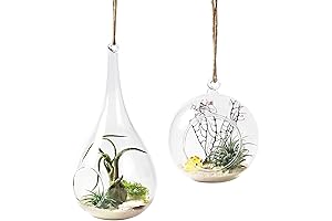 Mkono Teardrop Glass Terrarium: Elevate Your Living Space with Greenery