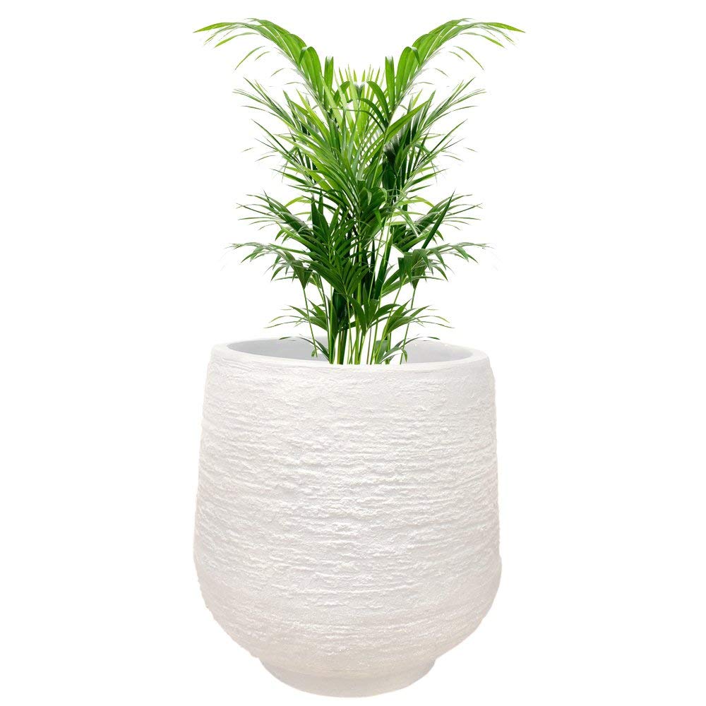 YUCCABE ITALIA Stone Round Planter, (White, 14 inches) (B07DS3SLFD) Amazon Price History, Amazon Price Tracker