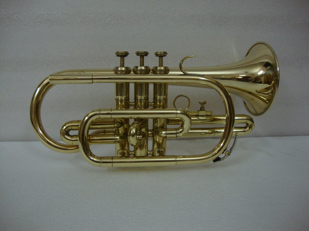 OSWAL Bb Flat Brass Finishing Cornet Trumpet With Free Hard Case+M/P