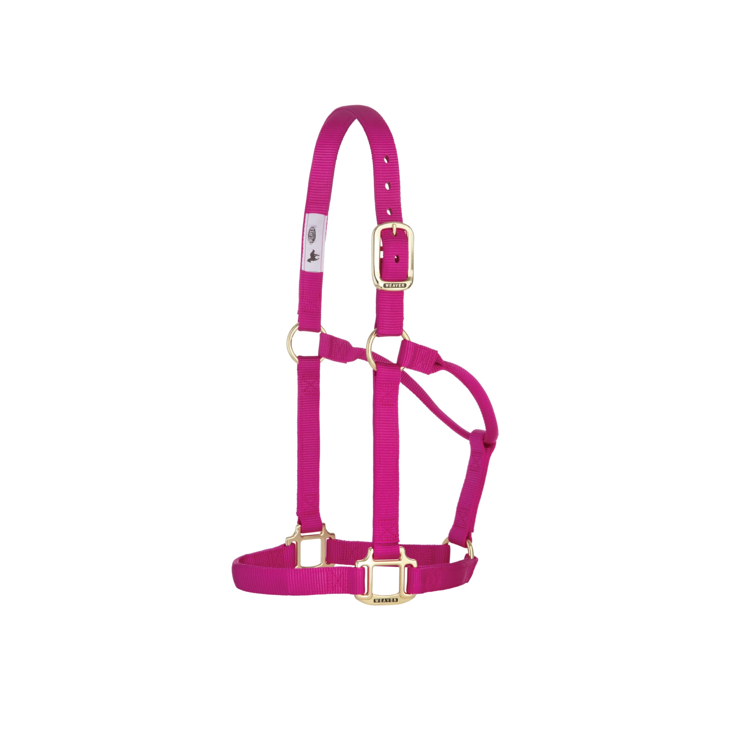 Weaver Leather Original - Cavezza Non Regolabile, per Cavallo tra 1 e 2 Anni, M, Lampone