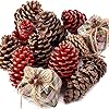 Pack of 12 Natural and Red Dried Pine Cones with Holiday Gift Boxes - Woodland Pinecones for Christmas Holiday DIY Crafts and Decorations #2