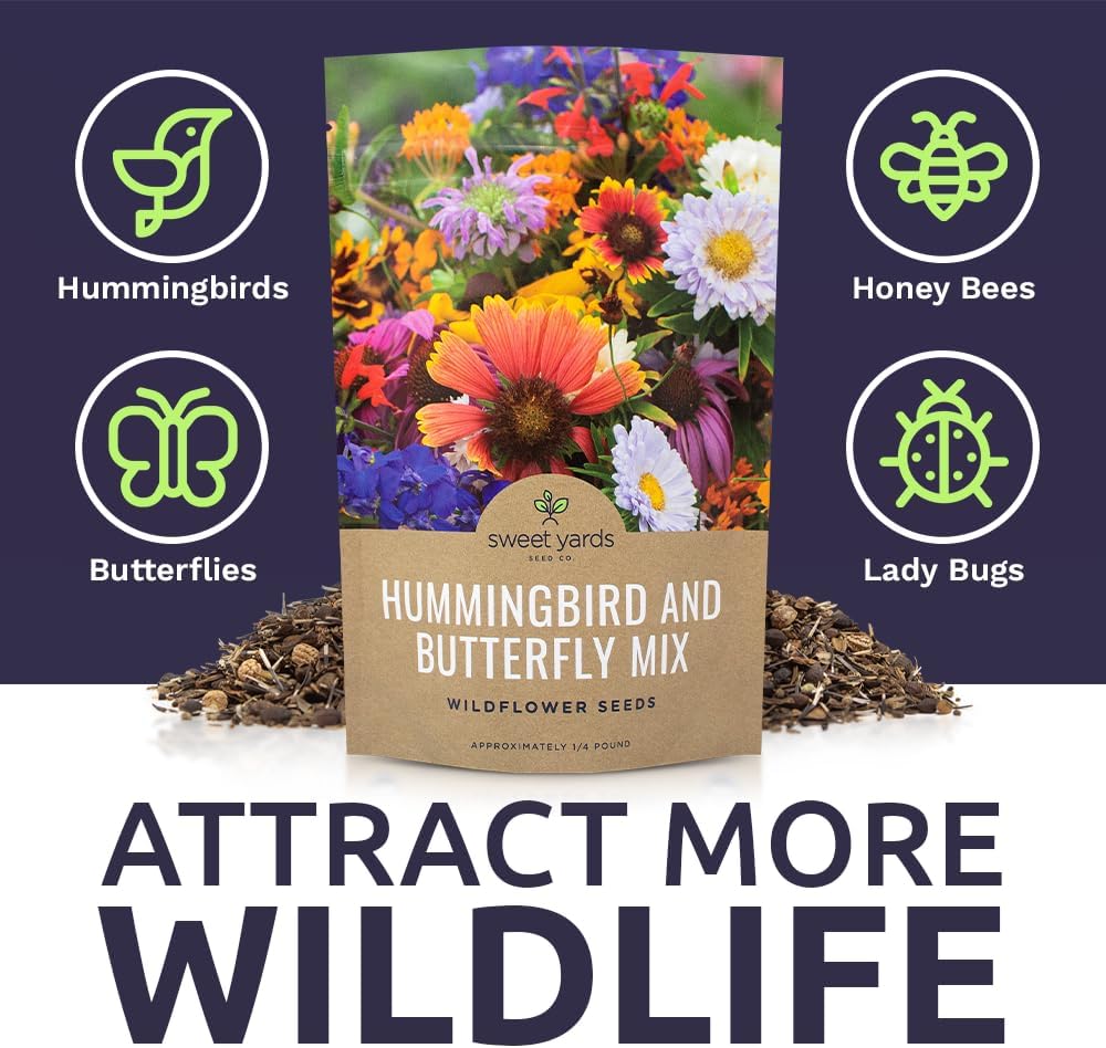 Bulk Wildflower Seeds Butterfly and Humming Bird Mix - 1/4 Pound Bag - Over 30,000 Open Pollinated Annual and Perennial Seeds