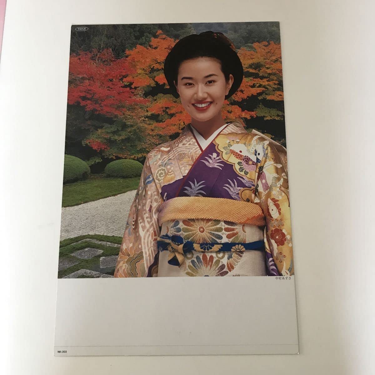 Amazon.co.jp: 西村知美 雛形あきこ 中村あずさ 水野真紀 かとうれいこ