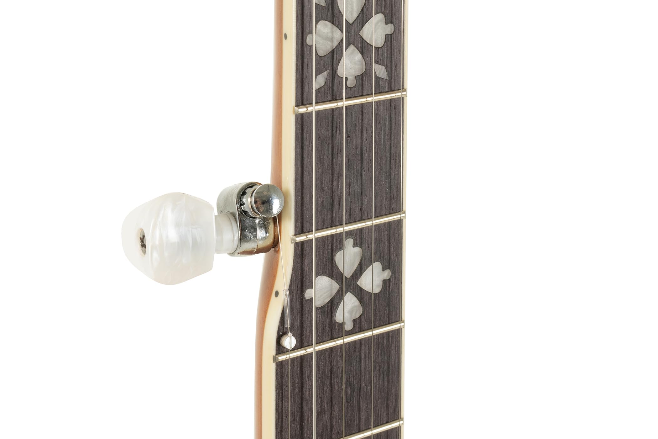 GEWA Banjo Premium 5 corde con custodia e pelliccia REMO